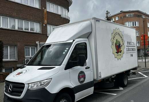 Mercedes-Benz Mercedes-Benz Sprinter 516 CDI Chassis  ...