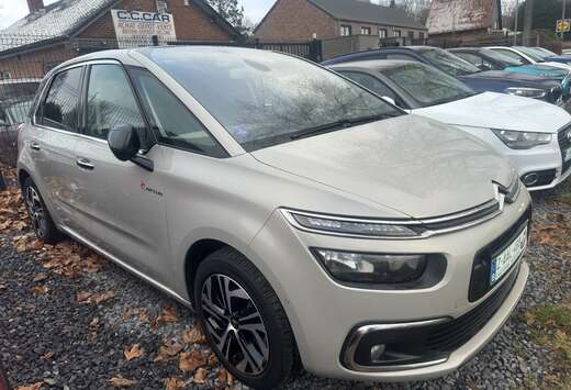 Citroen C4 Spacetourer 1.2 PureTech Rip Curl S