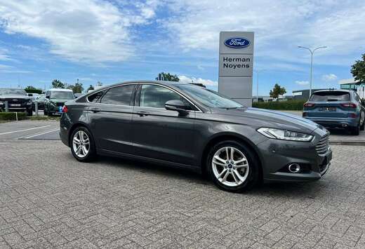 Ford Enkel voor professionele verkoop.