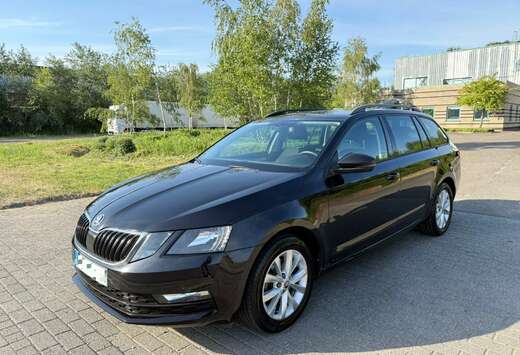 Skoda SW CNG 1.4 TSI Ambition