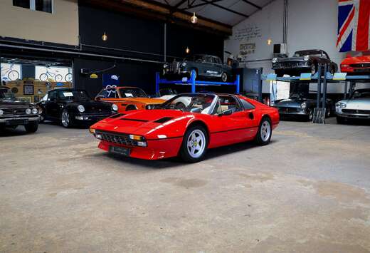 Ferrari GTS Quattrovalvole