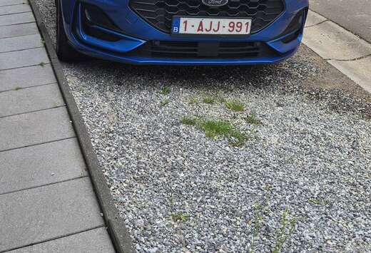 Ford Clipper 1.0 EcoBoost MHEV ST-Line X