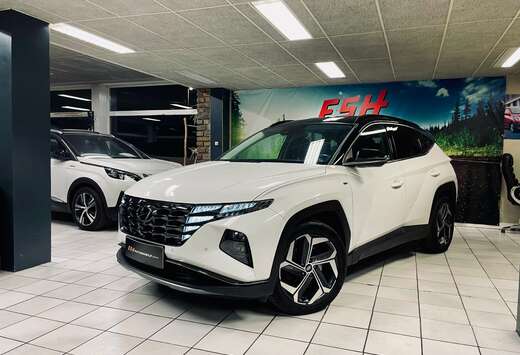 Hyundai Tucson 1.6 CRDi MHEV/LED/MEMOIRE//GARANTIE12  ...