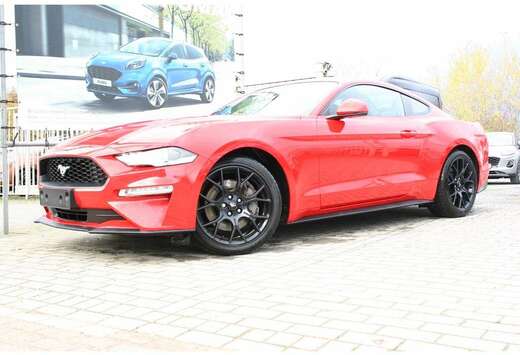 Ford FASTBACK 2.3 Ecoboost AUTOMAAT 10 - Van de eerst ...