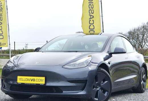 Tesla RWD / Plus / 325ch / Cuir