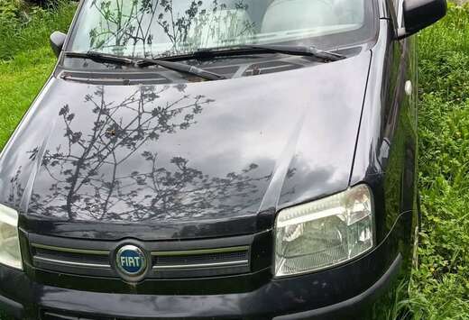 Fiat 1.1ie YOUNG