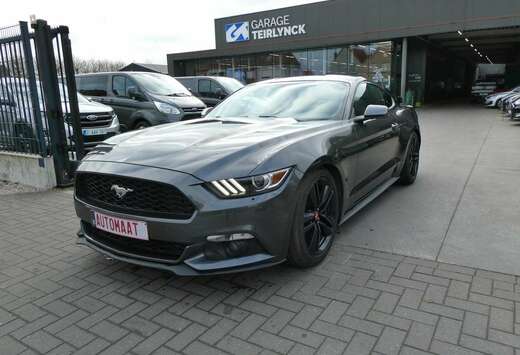 Ford Coupe SPORT 2.3 i 317pk AUTOMAAT \'17 (17563)