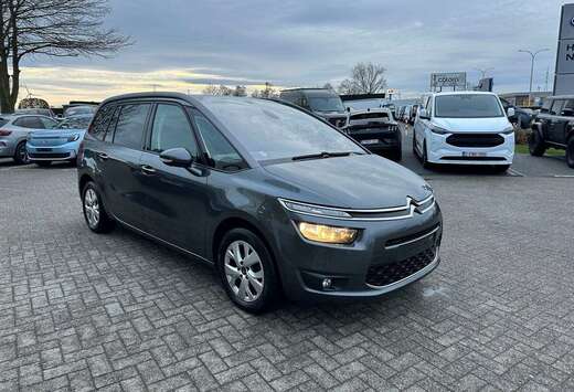 Citroen Enkel voor professionele verkoop.