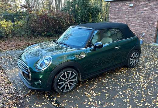 MINI Mini Cabriolet 1.5 Cooper OPF (EU6d-TEMP)