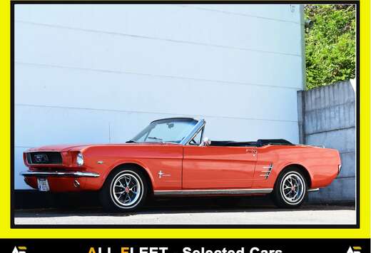 Ford 289 V8 - TOP CONDITION - Ready for long drive