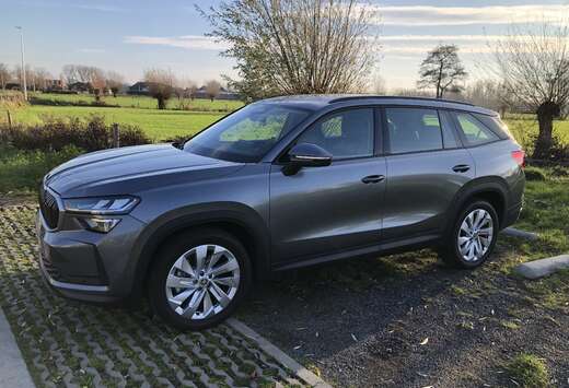 Skoda 1.5TSI m-HEV Selection 4x2 DSG 110kW