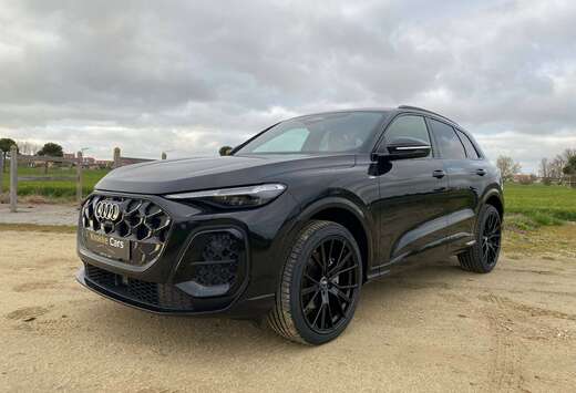 Audi S-Line Uitvoering,Sfeerverlichting,Verw zetels,C ...