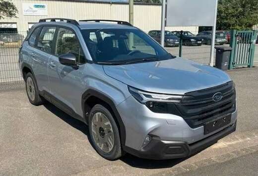 Subaru Subaru Forester Comfort MY 25  8 J. Garantie