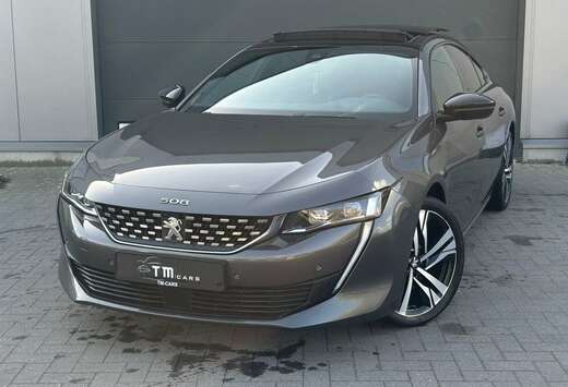 Peugeot LED/camera/navigatie/panoramisch dak