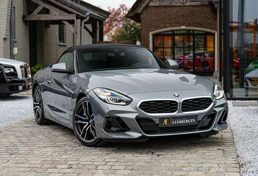 BMW sDrive30i / M-Sport / ACC / 19\