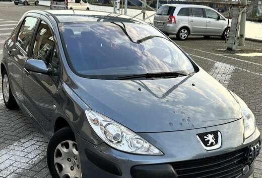 Peugeot 1.6i 16v Oxygo
