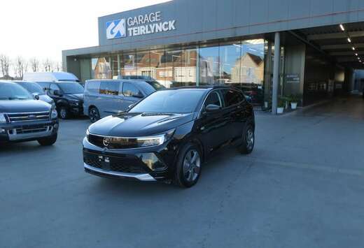 Opel 1.2 i benzine 130pk Business Camera \'23 (10635)