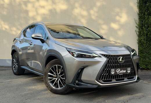 Lexus 4x4 Executive 360° Camera Luchtgekoelde stoele ...