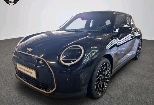MINI Favoured Trim