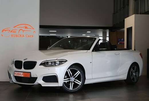 BMW Cabrio 218iA M Sportpakket LED Camera LijnA Adapt ...