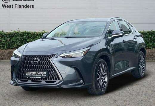 Lexus Business Line+20