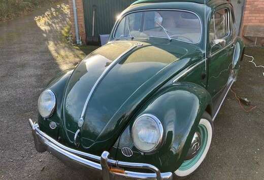 Volkswagen ovale découvrable