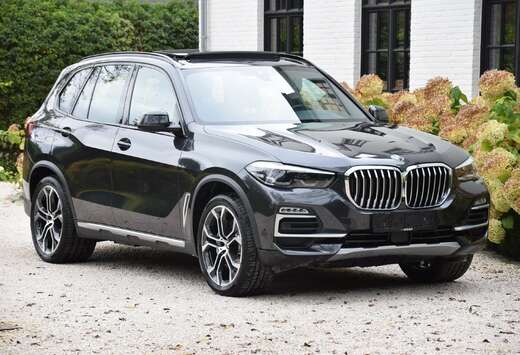 BMW 3.0A xDrive45e pano dak Integral Active Steering