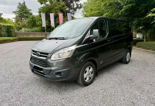Ford 2.0 TDCi Automaat 131pk L2H2 Camera