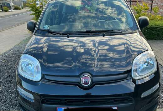 Fiat Panda 1.2 Pop