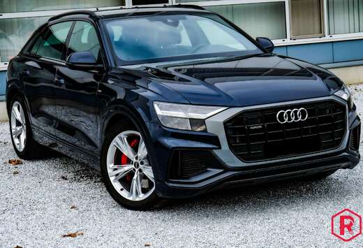 Audi 55 TFSI e S line Hybride BTWwagen 3500kg Garanti ...