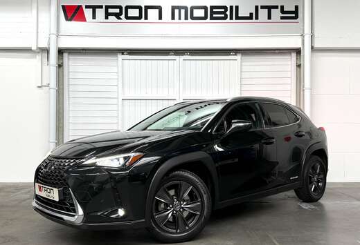 Lexus UX 250hybrid CAMERA*ALCANTARA*CARPLAY*LED*ACC*P ...