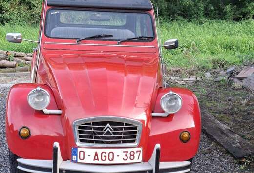 Citroen Club