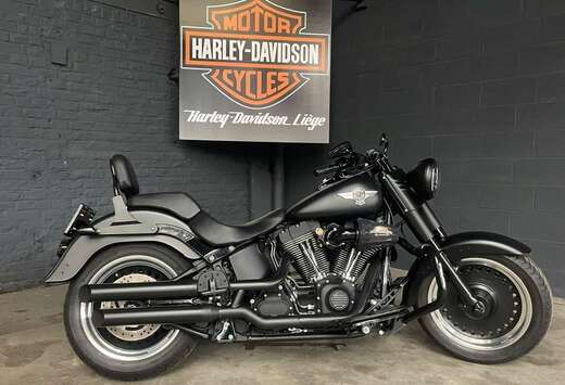 SPECIAL SOFTAIL