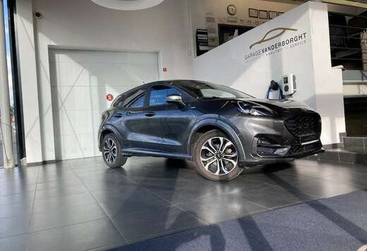 Ford ST-LINE  BENZINE PANO DAK