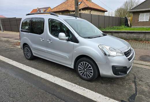 Peugeot Tepee 1.6 BlueHDi 1EIG. PERFECTE STAAT EURO6