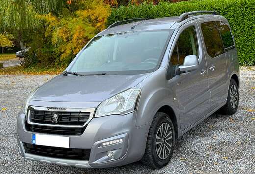Peugeot Tepee 1.6 BlueHDi Style S 1ier Main Clim EURO ...