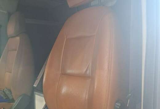 Fiat Paardenuitvoering