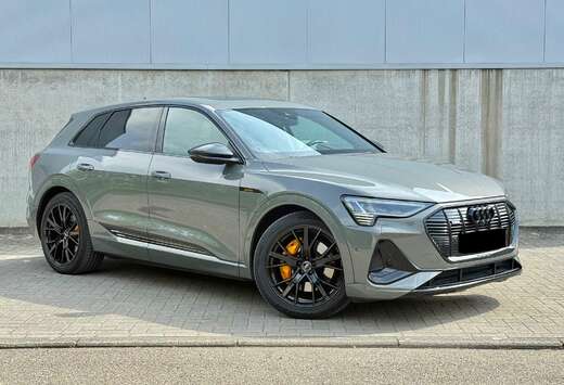 Audi 55 Quattro - Black Editon S-line - Btw wagen