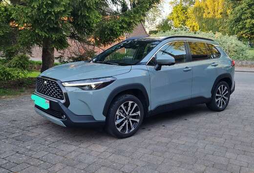 Toyota Hybrid 2.0 Premium e-CVT (112kw)
