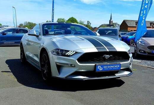 Ford Convertible 2.3 ecoboost facelift automatique