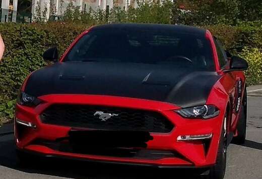 Ford 2.3 EcoBoost (EU6.2)