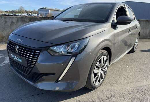 Peugeot II & e- Active