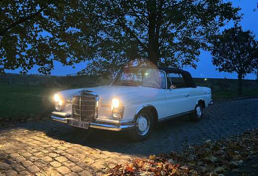 Mercedes-Benz cabriolet