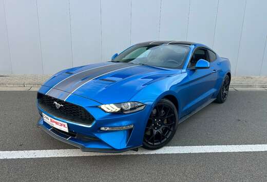 Ford Mustang 2.3 EcoBoost (EU6.2)  TVAC 21%
