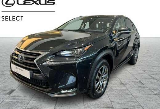 Lexus Executive Line
