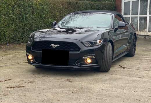 Ford Cabrio 2.3 Eco Boost