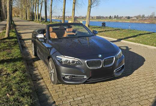 BMW Cabrio 218iA OPF
