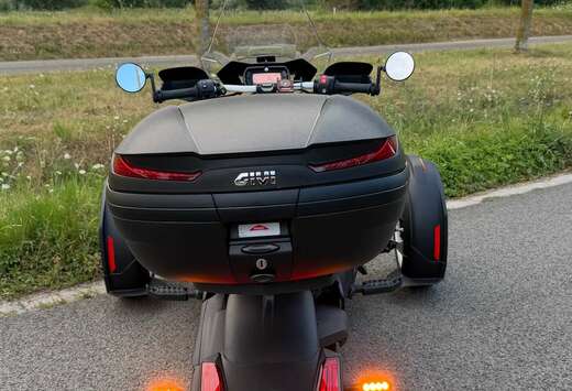 Can Am Ryker Rally 900 2024