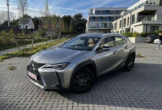 Lexus Executive Line