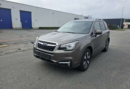 Subaru (Stock ID 77646)